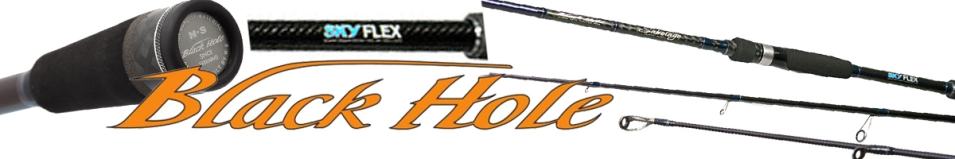 Black Hole Sabotage 2019