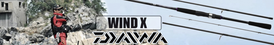 Daiwa Wind X