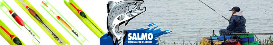 Salmo FR Оснастка к удочке