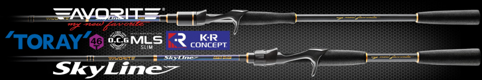 Favorite Skyline SKYC