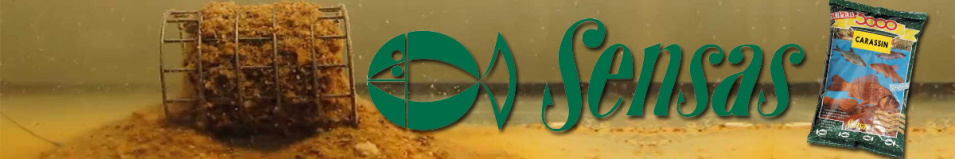 Sensas 3000 Carassin 1кг