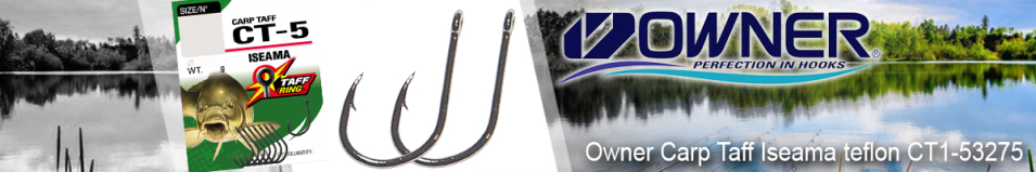 Owner Carp Taff Iseama teflon