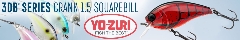 Yo-Zuri 3DB Crank 1.5 Squarebill 60F R1352