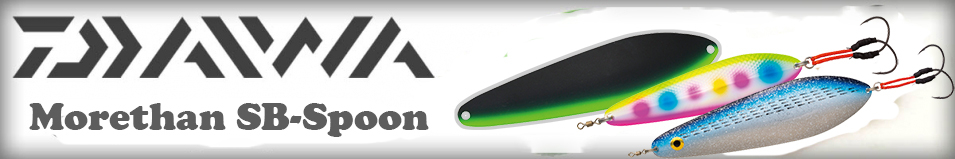 Daiwa Morethan SB-Spoon 73g