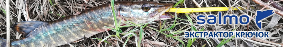 Salmo Экстрактор крючок