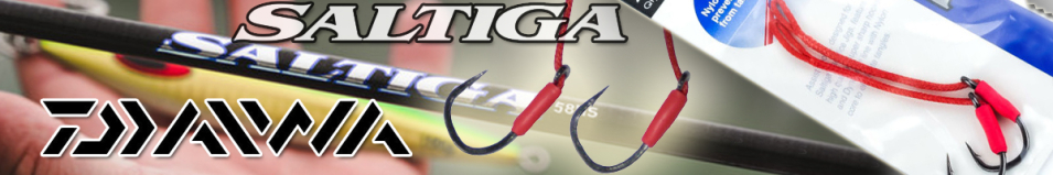 Daiwa Saltiga Assist SS B 3SLT