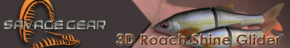 Savage Gear 3D Roach Shine Glider 180 70g SS