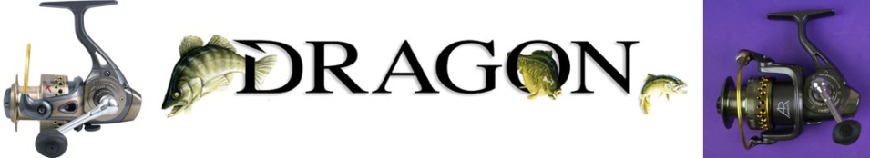 Dragon Maxima HS Spinn FD 