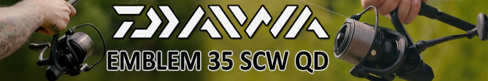 Daiwa 18 Emblem 35 SCW QD
