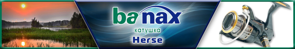 Banax Herse