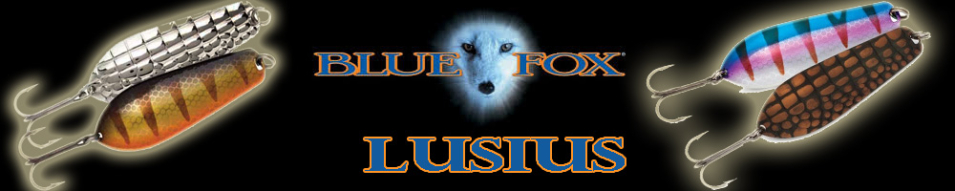 Blue Fox Lucius BFLU12