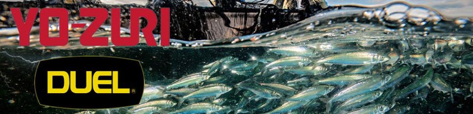 Duel 3D Quiet Wave Flat Crank 55F F701