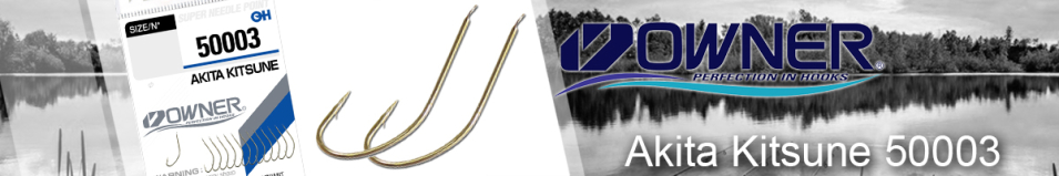 Owner Akita Kitsune brown