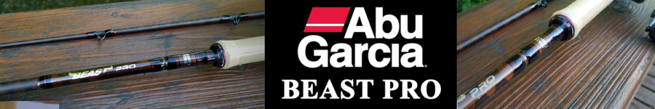 Abu Garcia Beast Pro Casting Rod