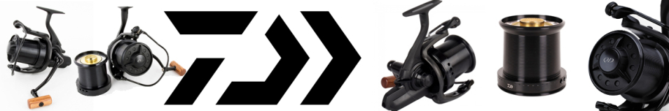 Daiwa 17 Basia SLD QD