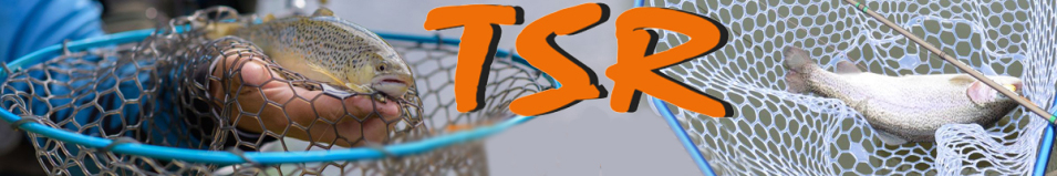 TSR SLNT Силиконовая сетка для подсака