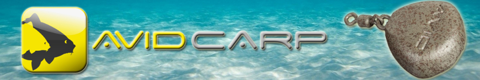 Avid Carp Flat Swivel Lead