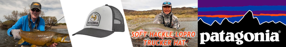 Patagonia Soft Hackle LoPro Trucker Hat WHI