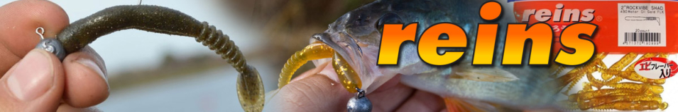 Reins RockVibe Shad 2"