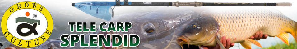 Grows Culture Tele Carp Splendid