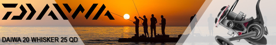Daiwa 20 Whisker 25 QD