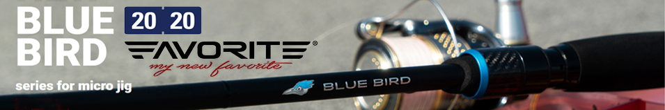 Favorite Blue Bird 2020