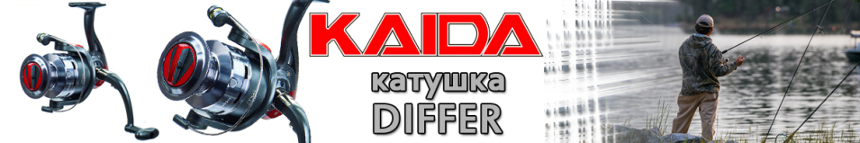 Kaida Differ DR