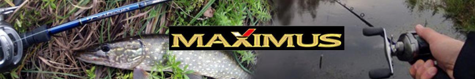 Maximus Destroyer Casting