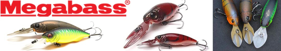 Megabass Bait-X Concept