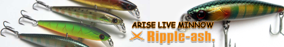 Ripple-Ash Arise Live Minnow 65F