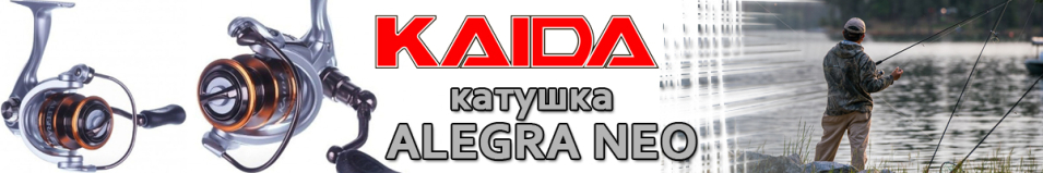 Kaida Alegra NEO