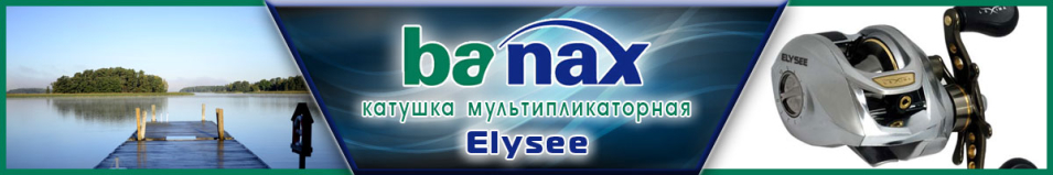 Banax Elysee