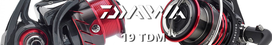 Daiwa 19 TDM