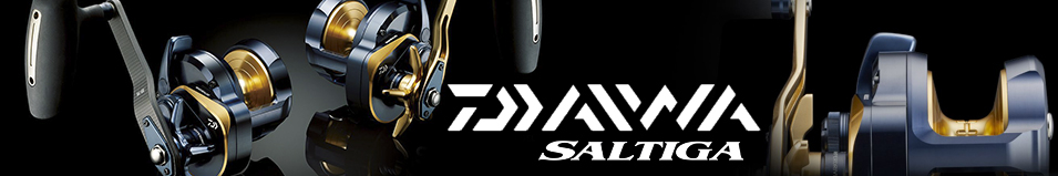 Daiwa 22 Saltiga 15HL-SJ