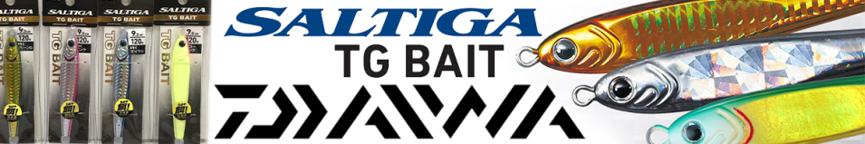 Daiwa Saltiga TG Bait 180F