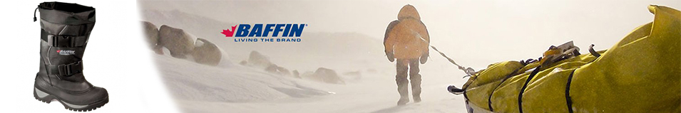 Baffin Wolf