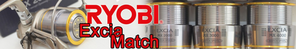 Ryobi Excia Match