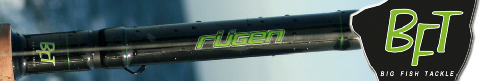 BFT Rügen