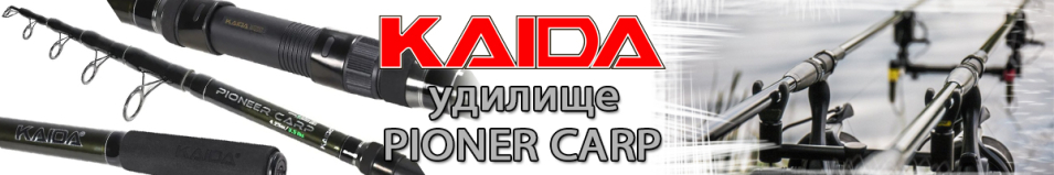 Kaida Pioner Carp