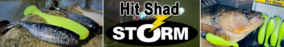 Storm Hit Shad 03