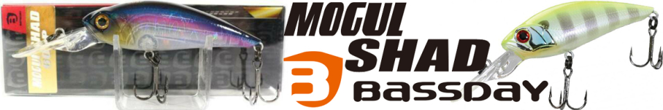 Bassday Mogul Shad 60SP