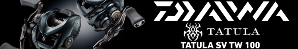 Daiwa 25 Tatula SV TW