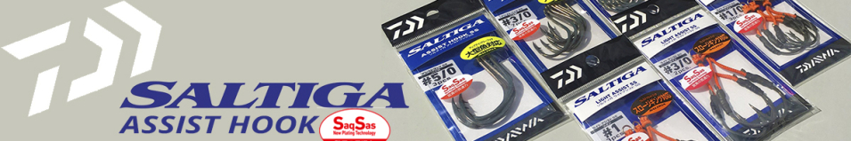 Daiwa Saltiga Light Assist SS