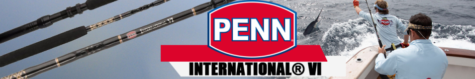 Penn International VI