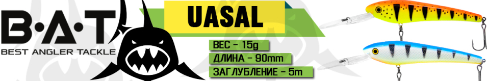 BAT Uasal BT052