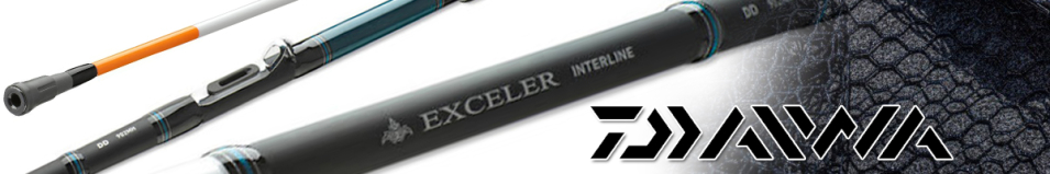 Daiwa Exceler Trolling