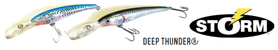 Storm Deep Thunder DTH11