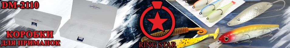 Ring Star DM-2110