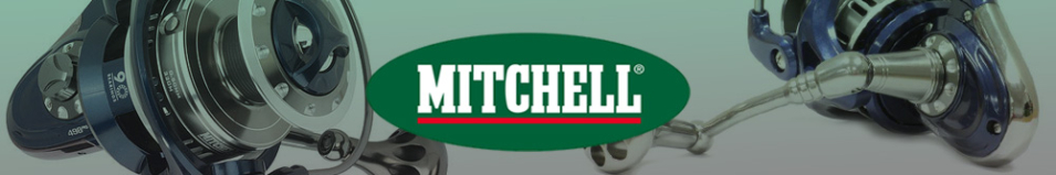 Mitchell Pro 98