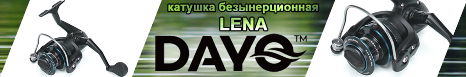 Dayo Lena